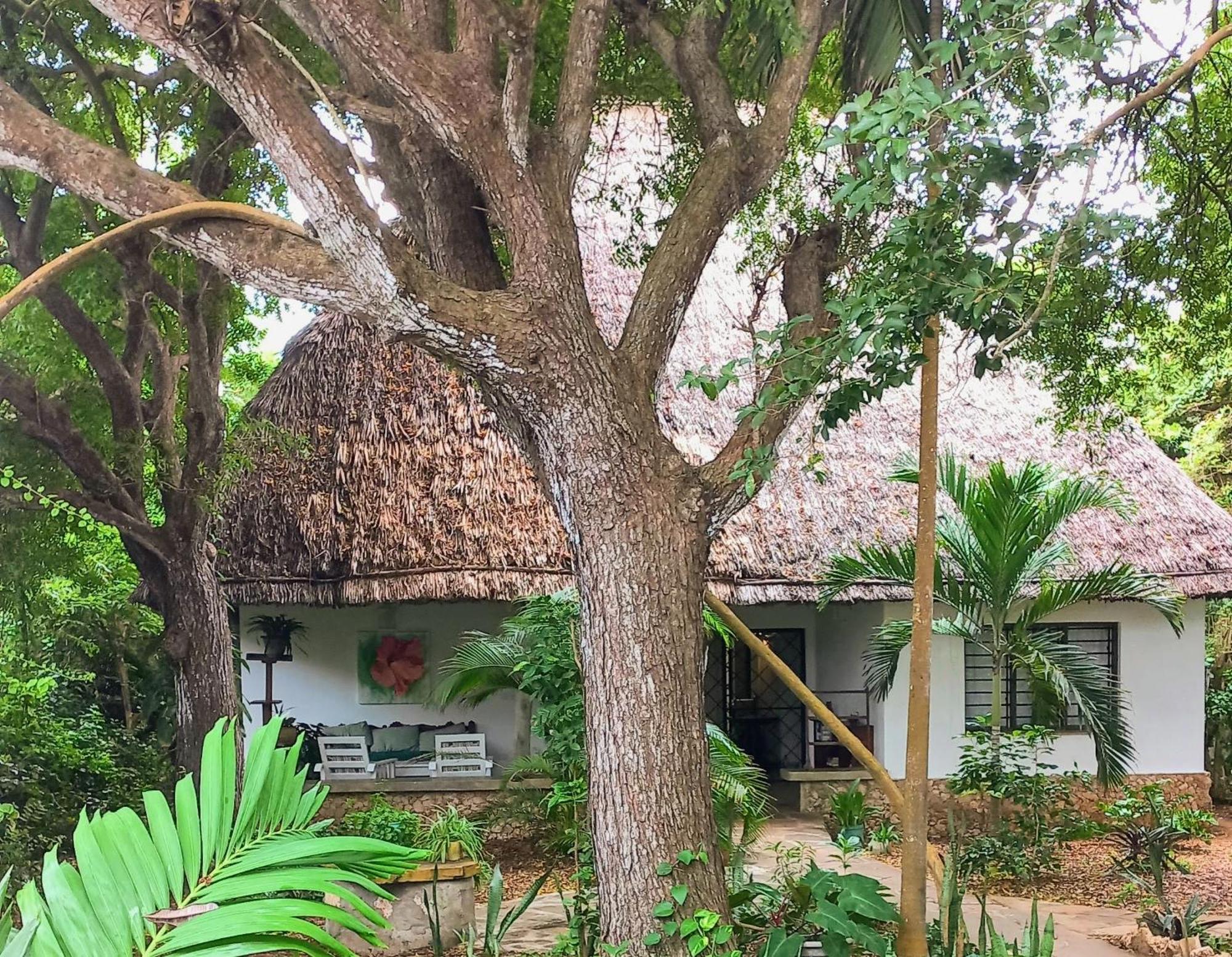 Watamu Beach Cottages Habitación foto